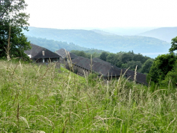 174_Vogelsang 06-2017.JPG